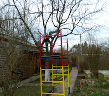 Обрезка плодовых деревьев на территории дома
