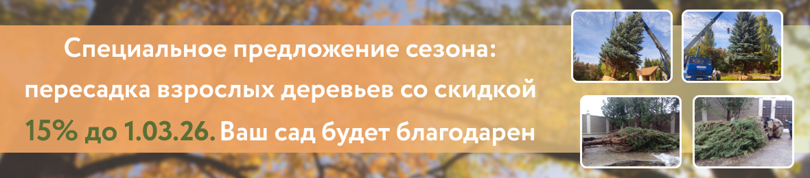 Баннер